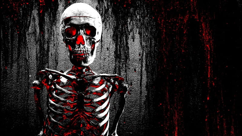 The Bloody Skeleton, bloody, skulls, gothic, dark, gore, HD wallpaper |  Peakpx