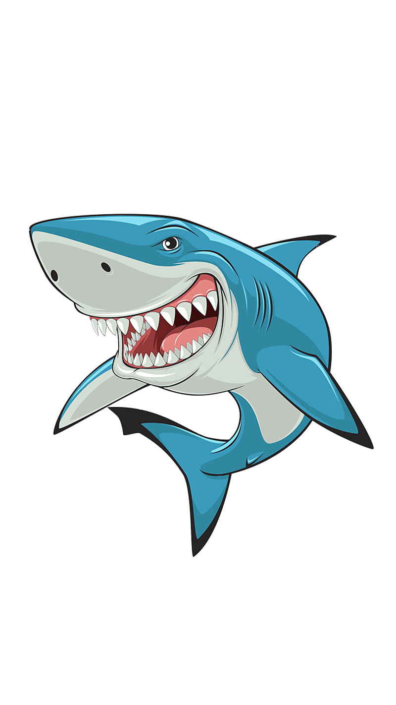 shark, almoe, animal, HD phone wallpaper