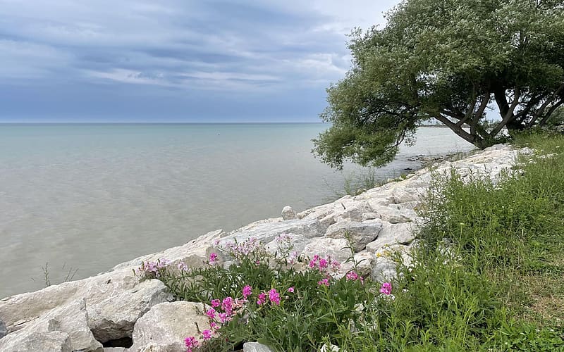 Lake Huron at Goderich, Ontario Canada, water, tree, clouds, flowers, sky, stones, HD wallpaper