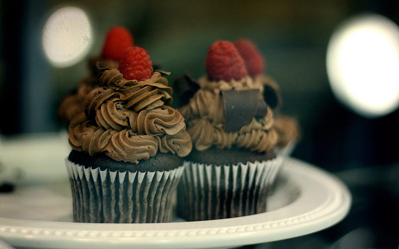 chocolate muffins-Fruit food, HD wallpaper