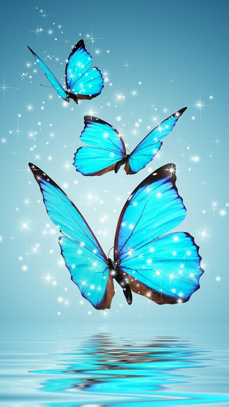 Butterfly , love butterflies, blue, HD phone wallpaper