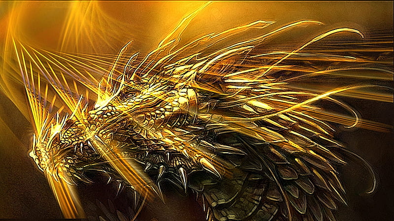 cool gold wallpaper