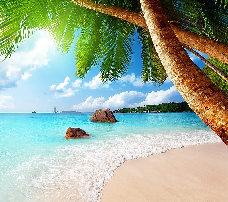 Tropical Paradise, beach, coast, palms, sea, HD wallpaper