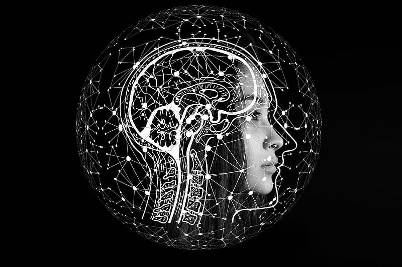 Brain Artificial intelligence Human, HD wallpaper