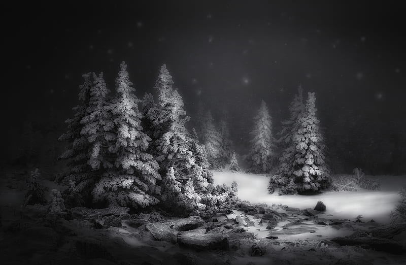 Earth, Night, Black & White, Snow, Winter, HD wallpaper