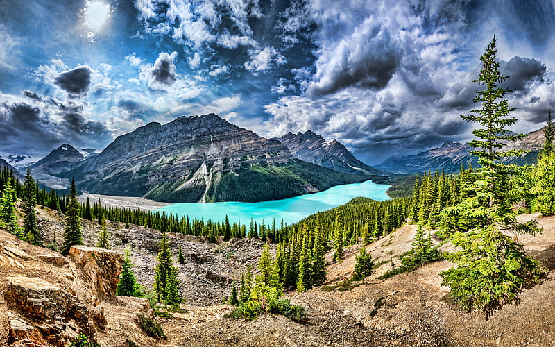 Peyto Lake summer, Banff National Park, forest, Canadian Rockies, R, mountains, North America, beautiful nature, Canada, HD wallpaper