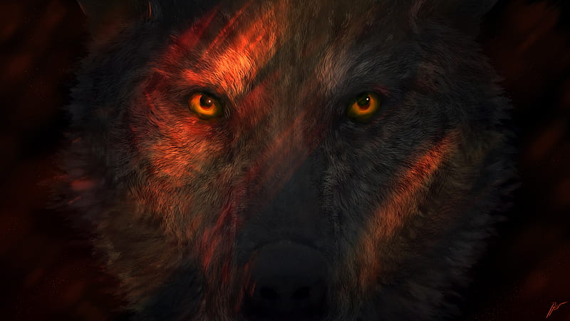 Wild Wolf Eyes, wolf, animals, artist, artwork, digital-art, HD wallpaper