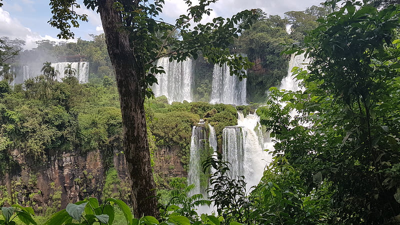Cataratas Iguazu, water, trees, argentina, cascada, cataratas, misiones, nature, relax, waterfalls, HD wallpaper