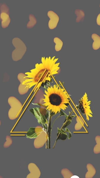Sunflower iphone wallpaper  summer iPhone background