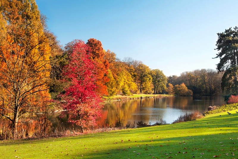 Autumn Park, autumn, fall season, nature, park, lake, landscape, HD ...