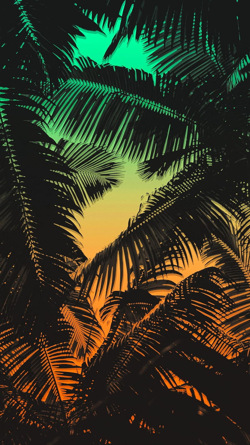 Reggae, beaches, coconut, landscape, natural, tree, tropical, HD phone wallpaper