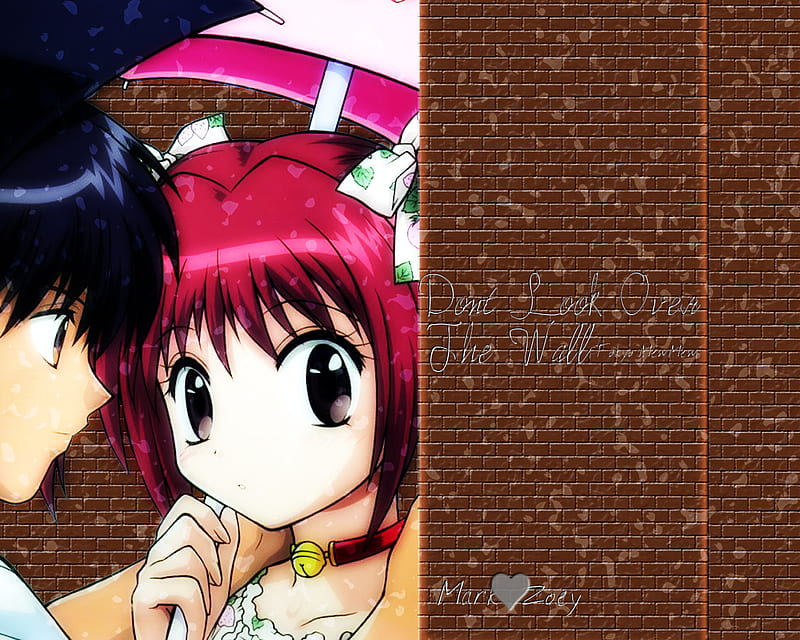 Don't look over the wall, tokyo mew mew, anime, ichigo momomiya, umbrella, aoyama, mew mew power, other, HD wallpaper