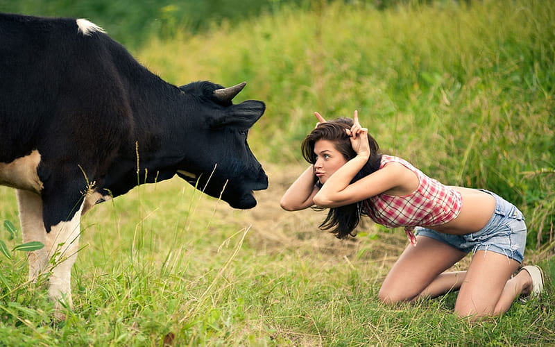 girl, cow, horns, HD wallpaper