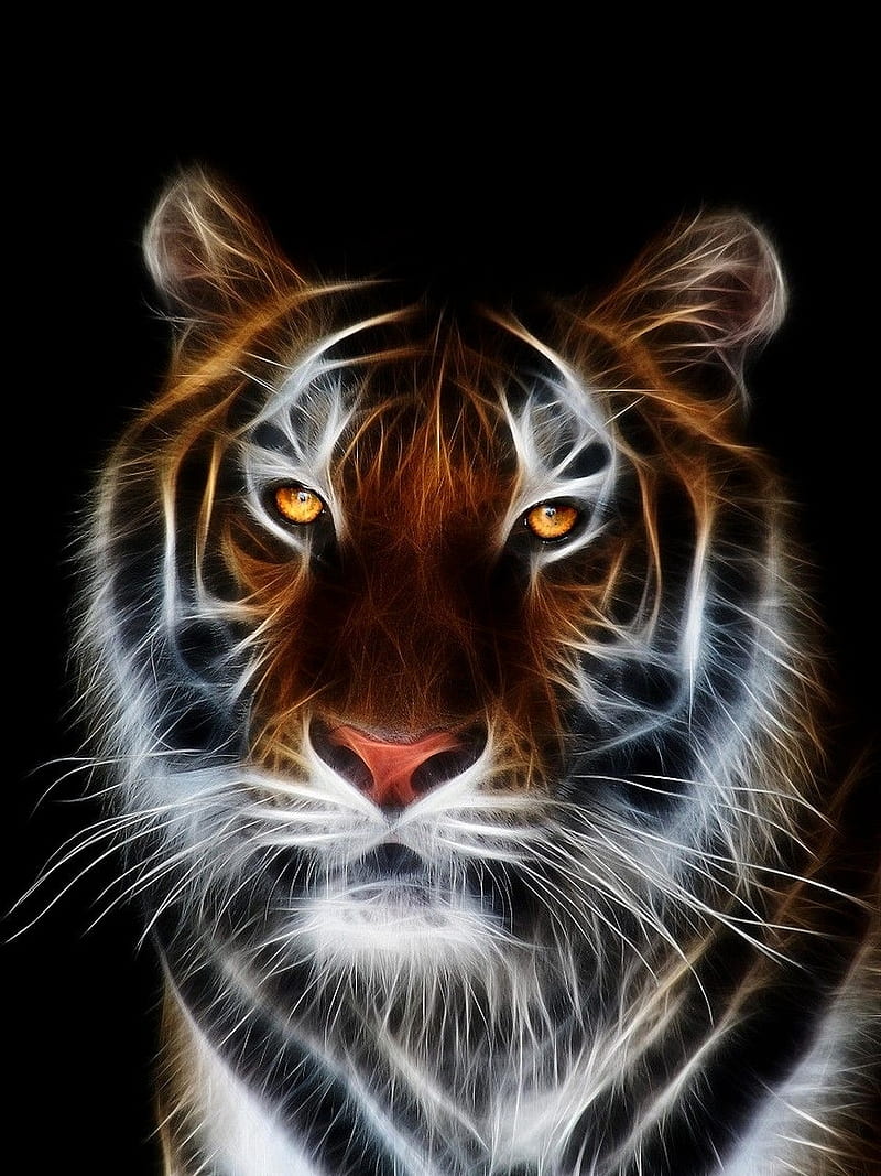 Fire Tiger, 3d, abstrat, background, black, cool, nice, tigers, HD phone  wallpaper | Peakpx