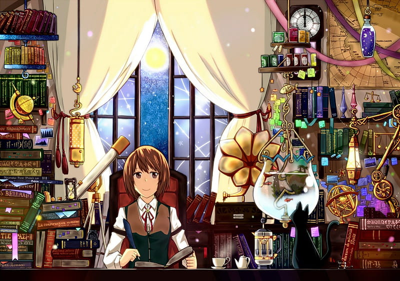 Welcome To My Study, potions, window, books, cat, teacup, teapot, moon, girl, anime, fishbowl, map, HD wallpaper