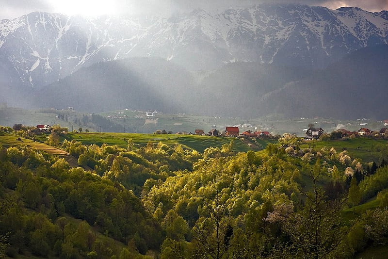 Piatra Craiului Mountains, muntii, din, frumosi, romania, HD wallpaper