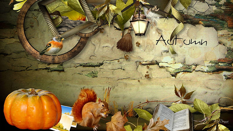 An Autumn Read, fall, lamp, squirrel, autmn, book, firefox pesona, leaves, bird, pumpkin, light, HD wallpaper