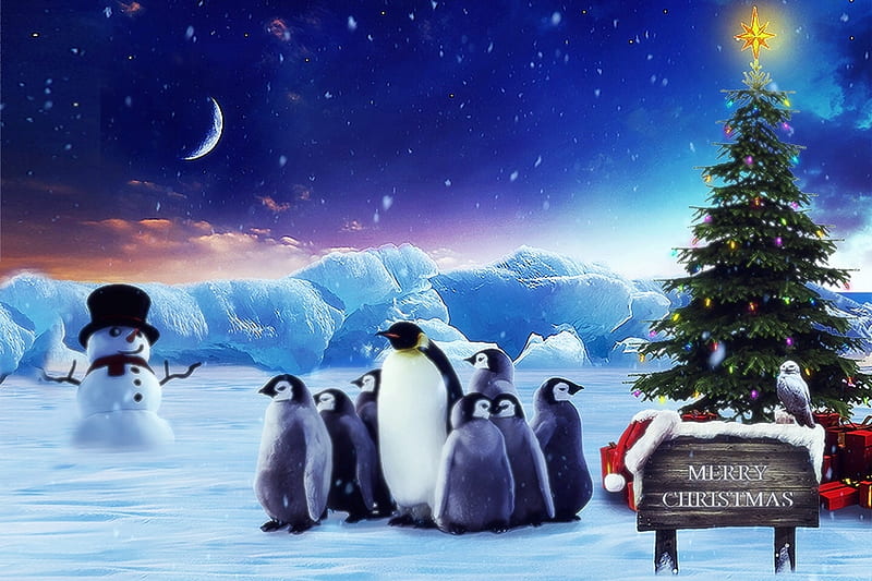 Merry Christmas, Christmas, christmas tree, holidays, snowman, winter, Cute, penguins, north pole, HD wallpaper
