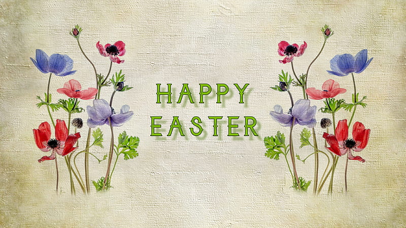 ~HAPPY EASTER~, anemones, red, EASTER, green, flowers, spring, blue, HD wallpaper