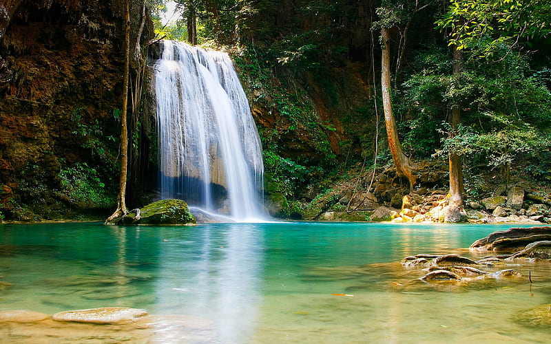 Waterfalls, Water, forest, Jungle, animal, Nature, falls, leaf, HD wallpaper