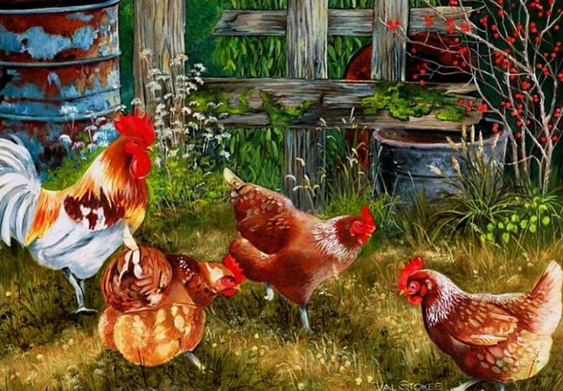 Backyard Living, rooster, hens, painting, poultry, barrel, artwork, HD wallpaper
