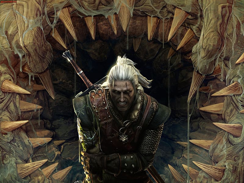 Video Game The Witcher 2: Assassins Of Kings HD Wallpaper