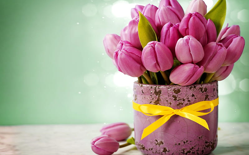 pink tulips, vases, bouquet, pink flowers, small tulips, HD wallpaper