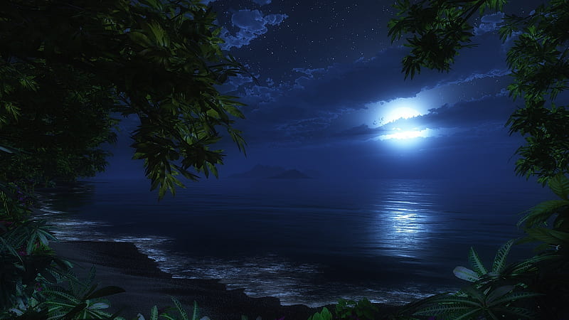moonlit beach, pretty, ocean, waves, trees, sky, clouds, beach, moon, moonlight, beauty, nature, evening, nightime, tropical, blue, night, HD wallpaper