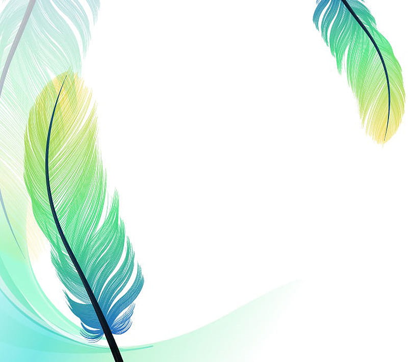 Feathers, HD wallpaper | Peakpx