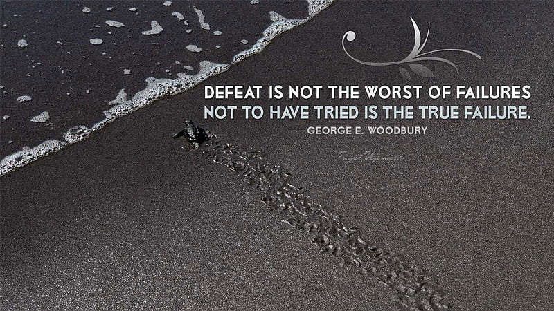 Defeat Is Not The Worst Of Failures Motivational, HD wallpaper