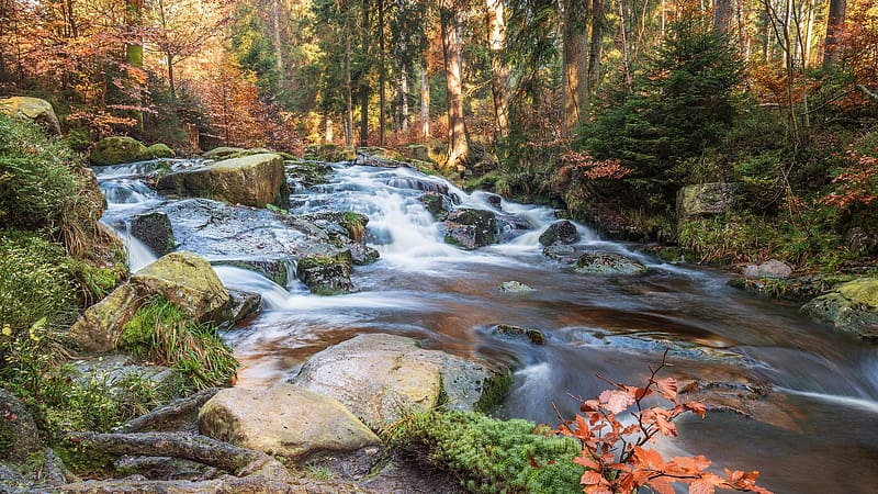 Selke Waterfall, Harz Mountains, Germany, water, cascades, trees, landscape, stream, forest, HD wallpaper