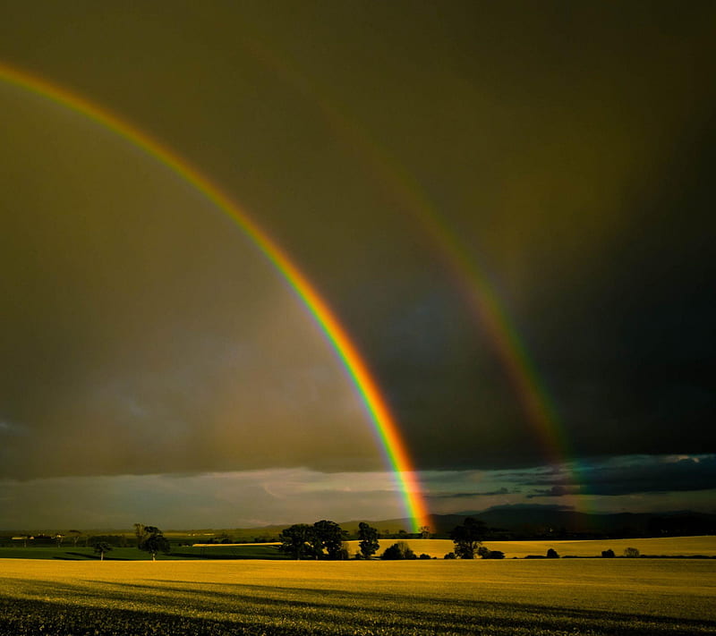 Raibow On Field, HD wallpaper