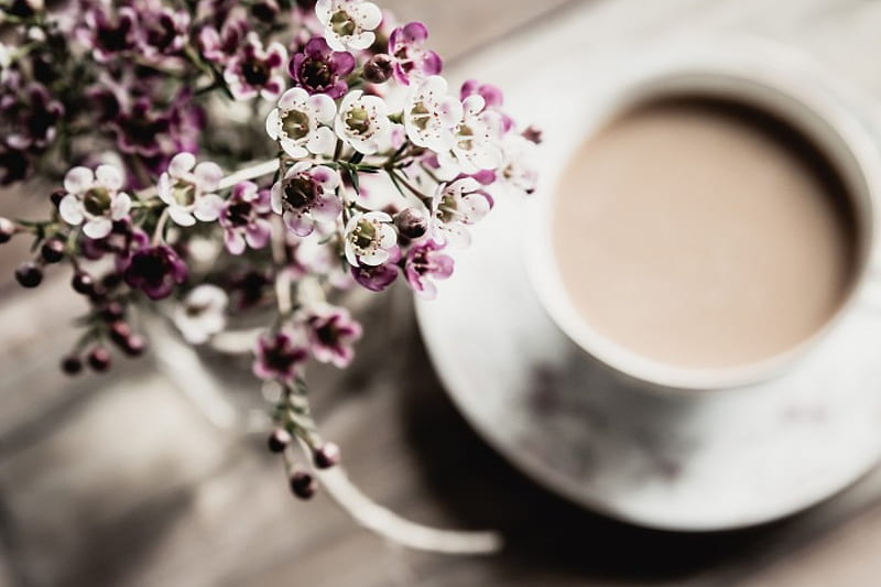Good Morning, coffee, coffee time, flowers, cup, nature, petals, HD wallpaper
