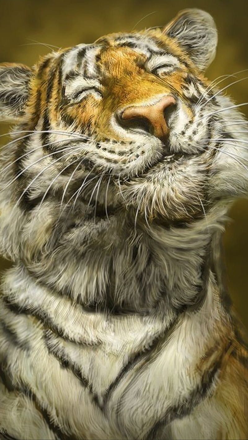 Funny tiger, animal, humor, smile, wild, HD phone wallpaper | Peakpx