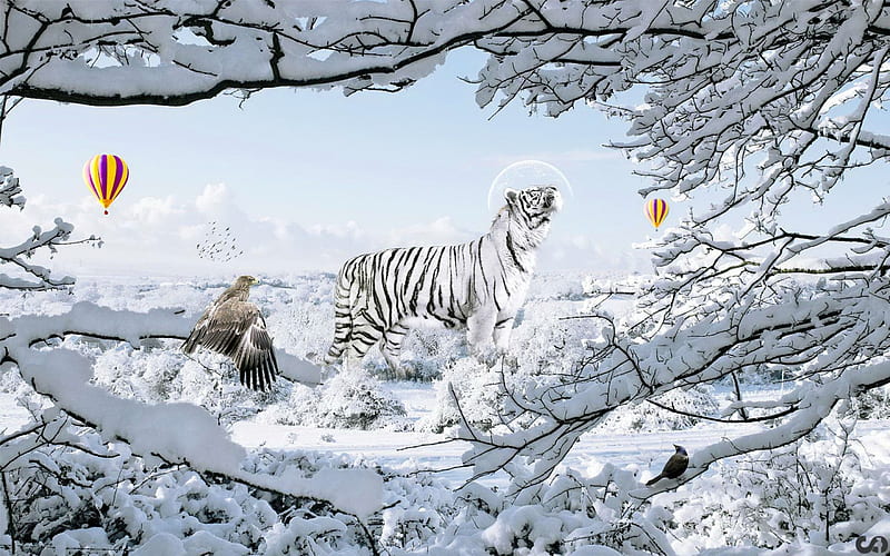 Winter tiger, snow, birds, black, tiger, white, trees, winter, HD wallpaper