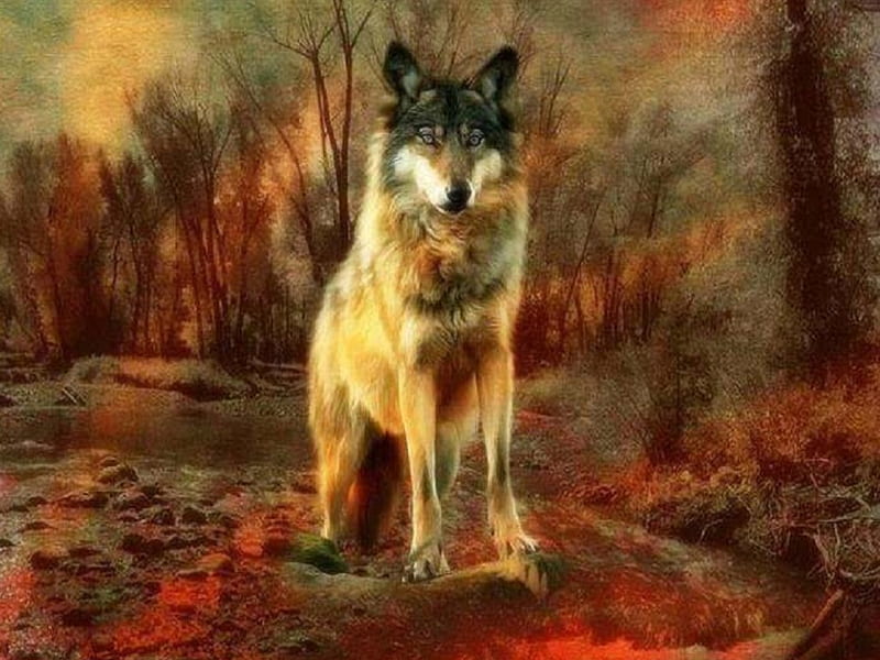 Autumn Wolf, autumn, fantasy, wolf, abstract, animals, HD wallpaper ...