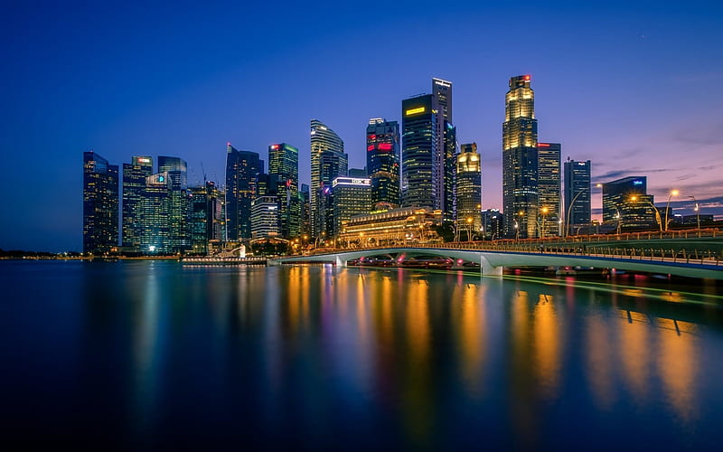 Singapore, skyline, Skyscrapers, night, Merlion Park, Marina Bay, HD wallpaper