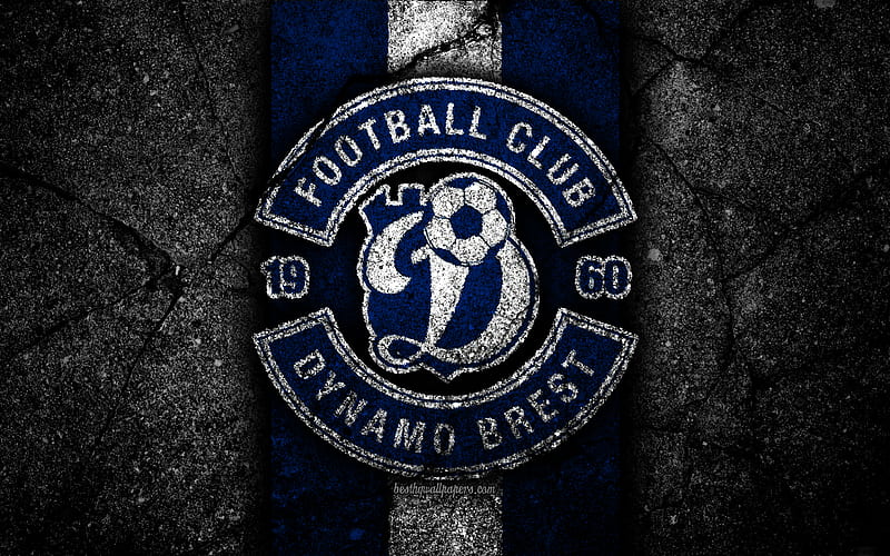 Dynamo Brest FC logo, soccer, black stone, Vysshaya Liga, grunge, football club, Belarusian football club, Dynamo Brest, Belarus, asphalt texture, FC Dynamo Brest, HD wallpaper