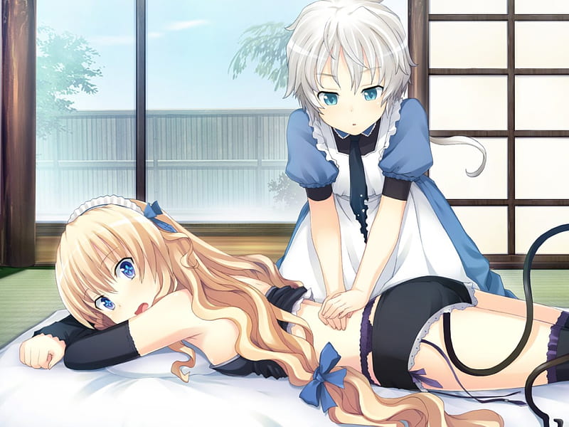 Gurenka-nekonyan, lindas, bonitas, chicas, anime, Fondo de pantalla HD | Peakpx Gurenka-nekonyan, lindas, bonitas, chicas, anime, Fondo de pantalla HD | Peakpx