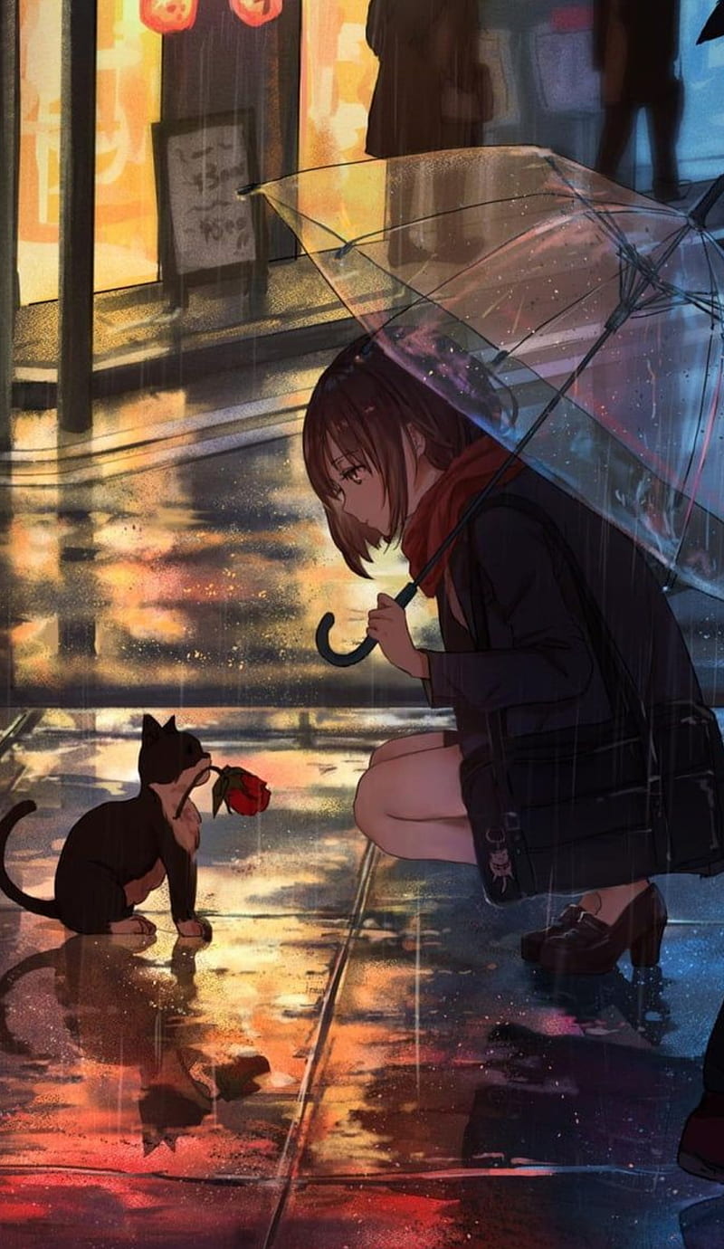 Anime girl, anime, chuva, cat, girl, luzes, umbrella, HD phone wallpaper