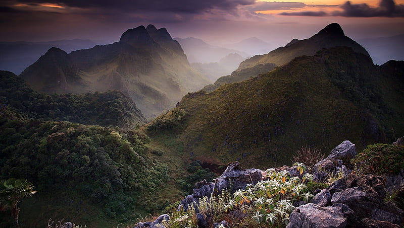 magnificent limestone landscape in thailand, hills, flowers, limestone, mist, HD wallpaper