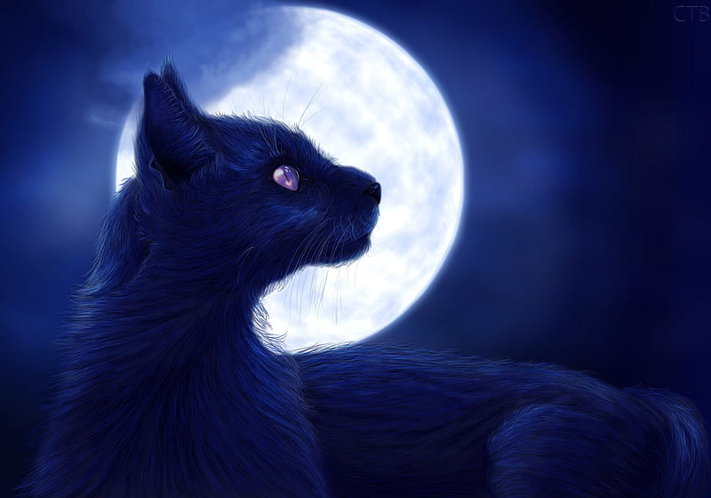 Black cat, art, fantasy, moon, moon, luminos, amethyst eyes, cat, pisica, HD wallpaper