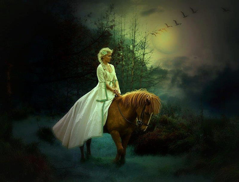 Girl on Horseback, forest, beautiful horse, moon, beautiful nature, birds fly, with long hair, horseback, beautiful girl, night, HD wallpaper
