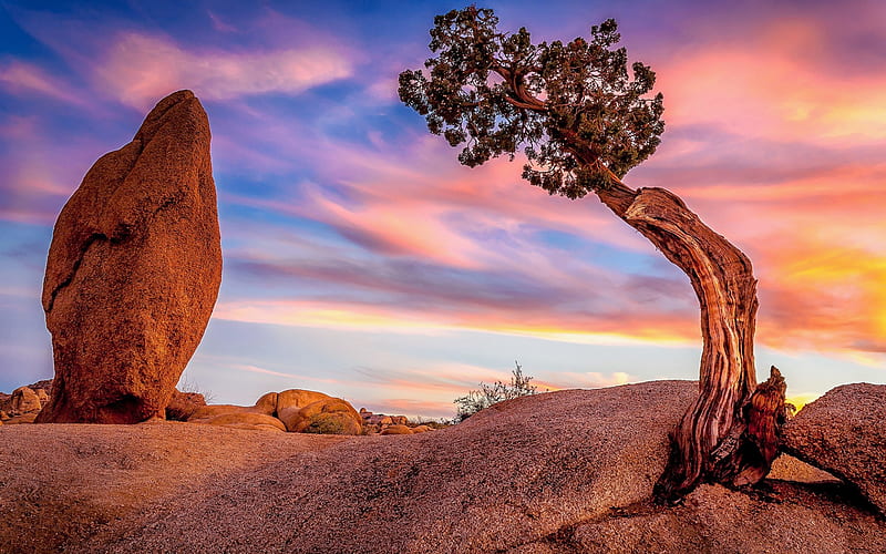 stones, sunset, evening, rocks, California, USA, Joshua Tree National Park, Mojave desert, HD wallpaper