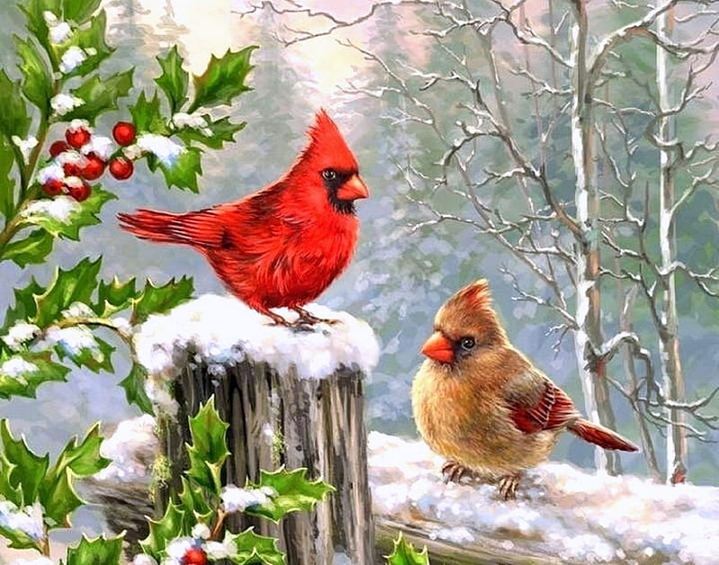 Snow Birds, Christmas, holidays, Christmas Tree, love four seasons, birds, attractions in dreams, xmas and new year, winter, cardinals, snow, nature, HD wallpaper