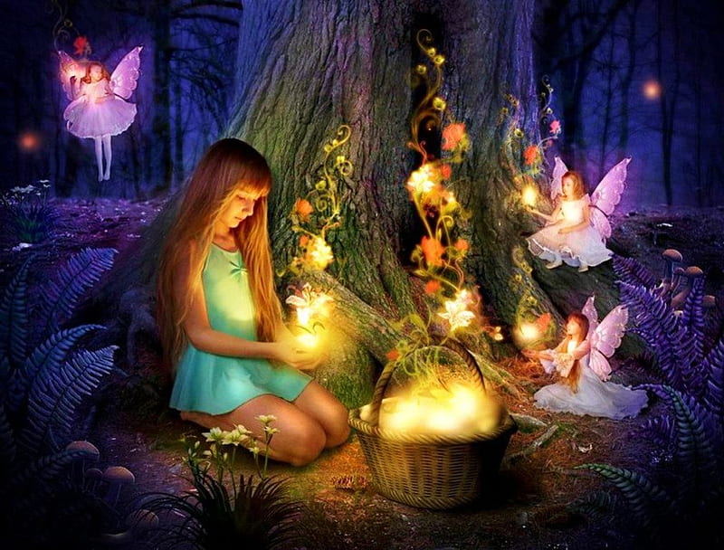 Fairies Night, elfs, lovely, basket, trees, fairy, lights, HD wallpaper ...