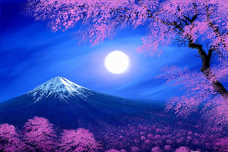 Sakura, moon, horizon, blossom, nature, night, cherry, HD wallpaper | Peakpx