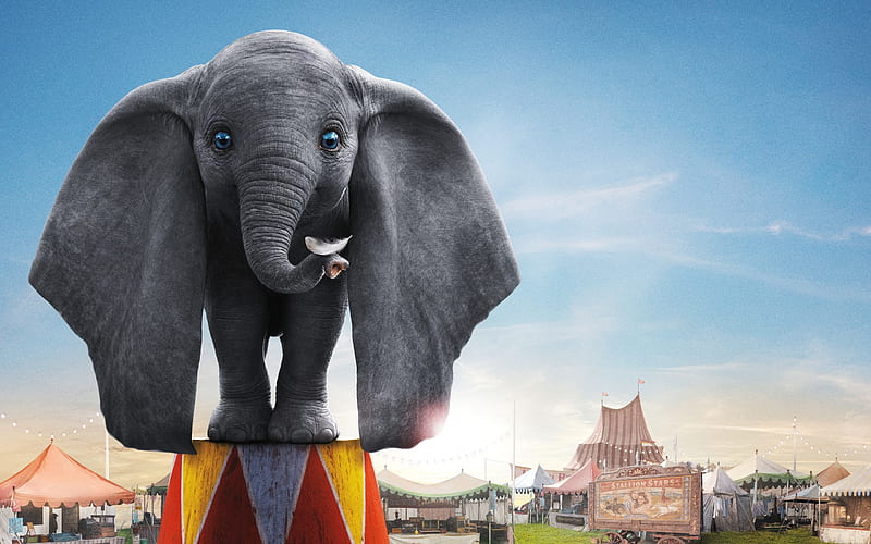 Dumbo 2019, dumbo, disney, poster, circus, fantasy, movie, elephant, HD wallpaper