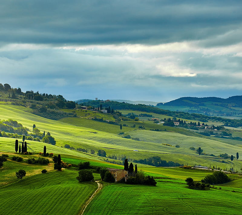 Tuscany, fields, green, italy, trees, HD wallpaper | Peakpx