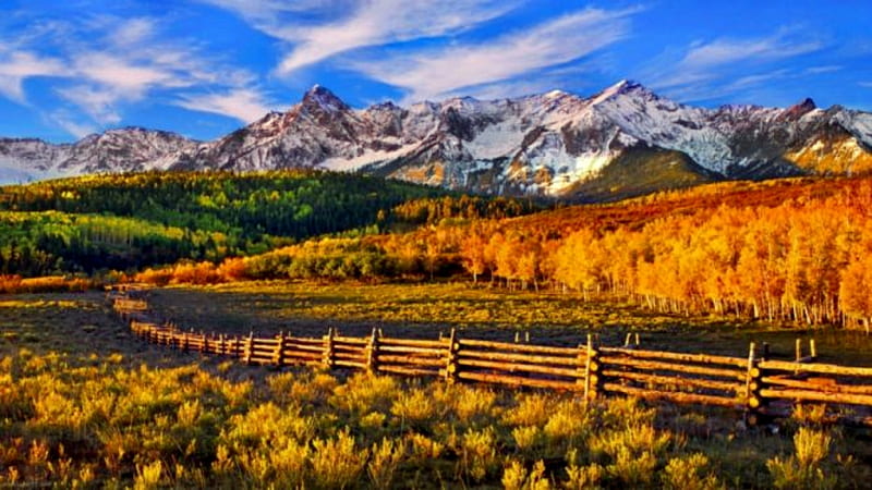 Golden Autumn Meadow, Mountain, Flowers, Meadow, Fence, HD wallpaper